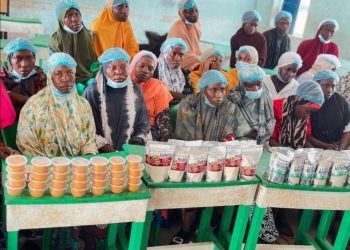 Strengthening Women-Led Enterprises in Nasarawa State