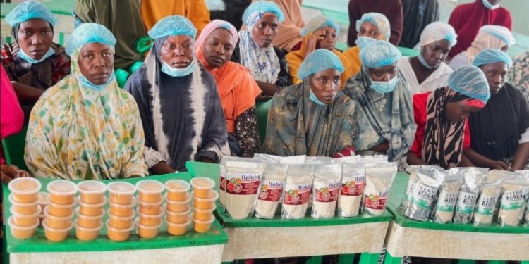 Strengthening Women-Led Enterprises in Nasarawa State
