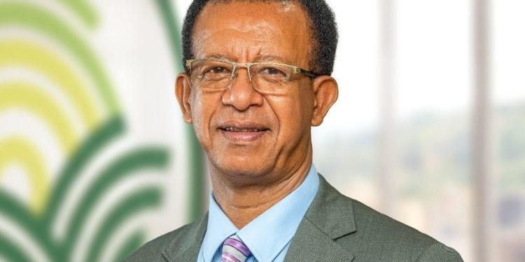 Africa Keeps Rebuilding Its Food Security Every Time a Shipping Lane Closes