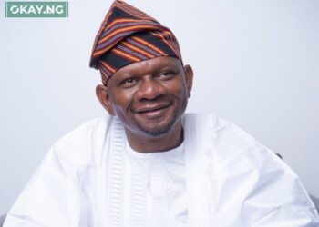 NPHCDA: Tinubu’s Poach, Nigeria’s Chain