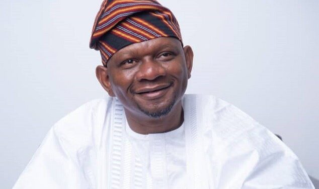 NPHCDA: Tinubu’s Poach, Nigeria’s Chain