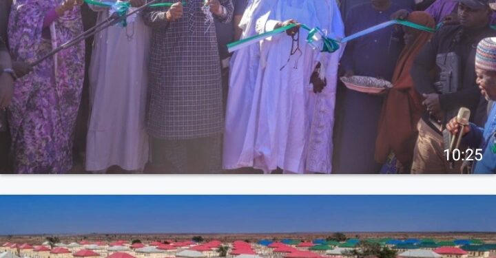 Logumani: Zulum Launches 500 Houses For Victims Of Insurgency