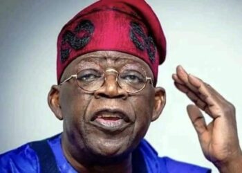 Nigerians Bearing Pains Of Money Looted Through Subsidy – Tinubu