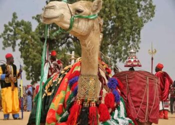Historic Celebration: Maiduguri Hosts First Global Kanuri Cultural Festival