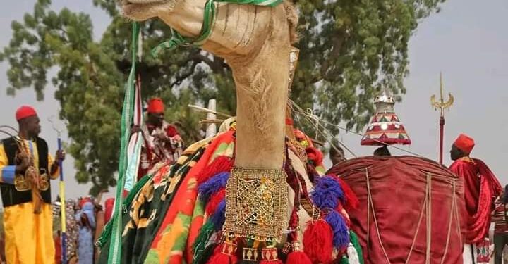 Historic Celebration: Maiduguri Hosts First Global Kanuri Cultural Festival