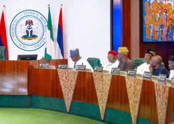 Nigeria: Finally, State Police Gets Headway As Tinubu, Governors Perfect Modalities