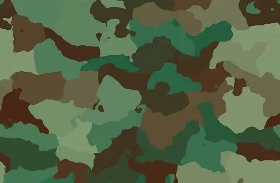 Matawalle Reiterates Ban On Camouflage Uniforms