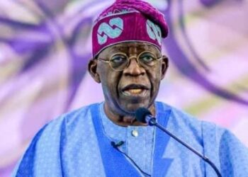 Tinubu Appoints New Mgt Team For FGN Power, Executive Directors For TCN