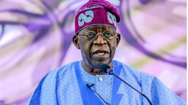 Tinubu Appoints New Mgt Team For FGN Power, Executive Directors For TCN