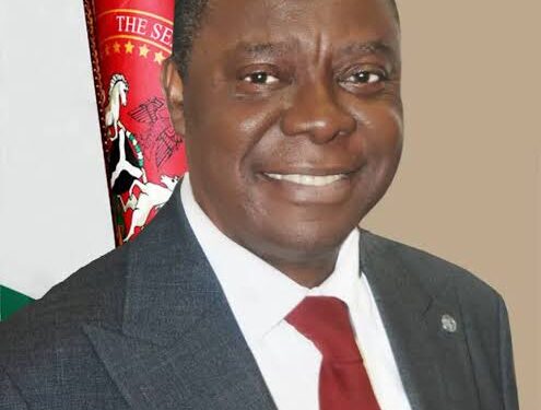 [OPINION] Sen. Ezea’s First Anniversary Of Inactivity At The Senate