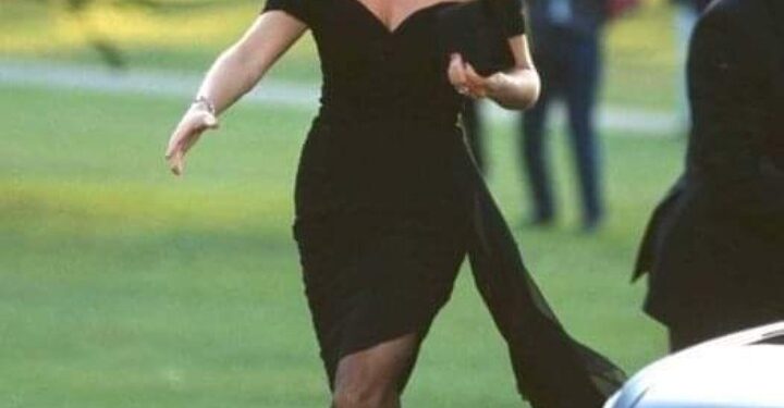 Remembering Princess Diana: A Glimpse into Her Remarkable Life