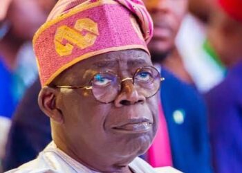 Revisiting Tinubu’s One Year Of Emilokan, By Illah Michael Ojodomo