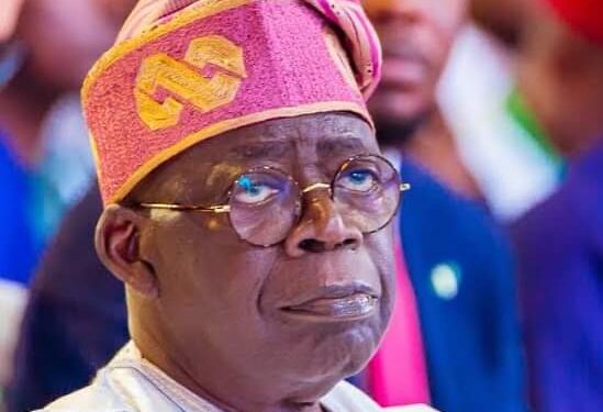 Revisiting Tinubu’s One Year Of Emilokan, By Illah Michael Ojodomo
