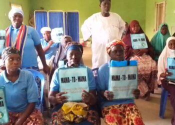 Taraba: Group Lauds Gov Kefas Over Efforts Against Maternal Death, Child Mortality 