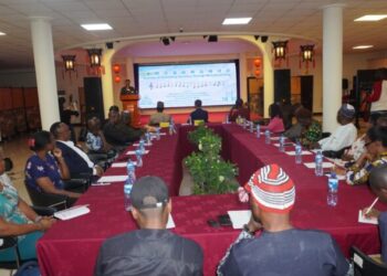 Chinese Embassy in Nigeria Promotes Harmony Through Cultural Exchange