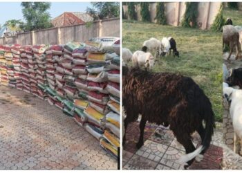 SALLAH: Senator Echocho’s Rain of Rice Floods Kogi East, SDP, PDP Among Beneficiaries