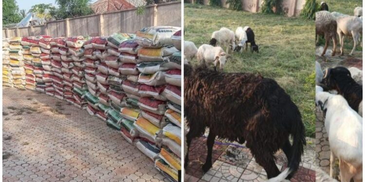 SALLAH: Senator Echocho’s Rain of Rice Floods Kogi East, SDP, PDP Among Beneficiaries