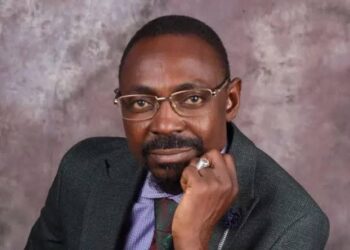 Constitution Review: SAN Ndarani Calls For Removal Of 1999 Immunity Clause