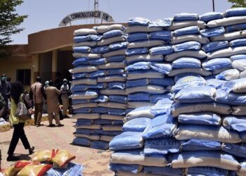 Senegal’s New Government Announces Price Cuts on Essential Commodities