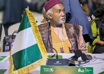 Nigeria’s Foreign Minister Urges AU to Reflect on Current Realities