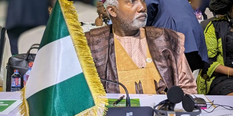 Nigeria’s Foreign Minister Urges AU to Reflect on Current Realities