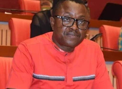 Profile of Omonu YG Nelson