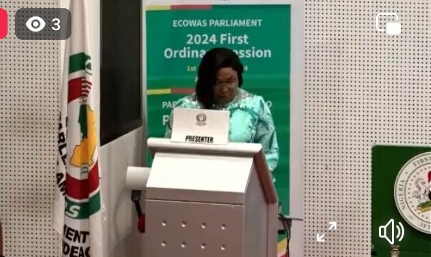 ECOWAS Speaker Calls for Greater Representation of Women in Regional Governance