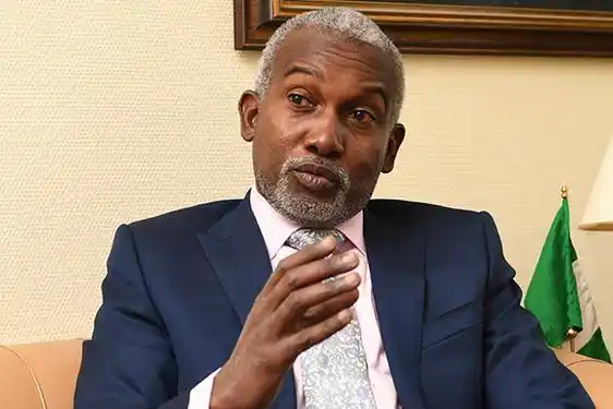 Nigeria Seeks to Enhance Diaspora’s Economic Contribution