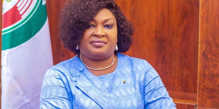 ECOWAS Parliament Speaker Urges Member States To Scale Up Funding Efforts 