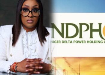 Adighije Becomes NDPHC MD/CEO As Tinubu Appoints New Management