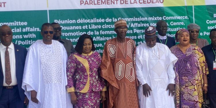 ECOWAS Parliament Speaker Tasks Member States On Speedy Implementation Of Free Movement Protocol