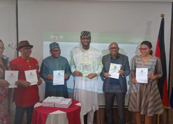 Nigeria Ranks Major Consumer Of Battery