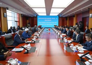 China and Nigeria Elevate Relations to Comprehensive Strategic Partnership