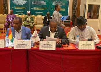 ECOWAS Parliamentarians Set Agenda for Change in Health, Education Sectors as Delocalised Meeting Ends in Guinea 