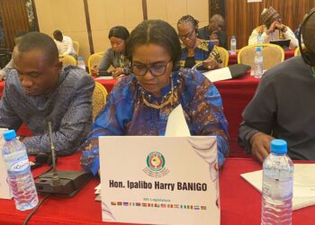 Greater Access to Healthcare: Sen Banigo Canvases Adoption of Info Tech