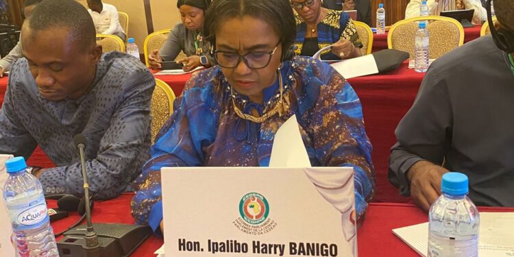 Greater Access to Healthcare: Sen Banigo Canvases Adoption of Info Tech