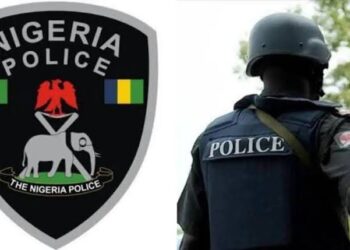 Police Nab Fake Inspector, Notorious Cultists, Recover AK47 In Rivers
