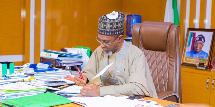 Borno: Environment Ministry Deploys Team To Mitigate Aftermath Of  Flooding 