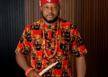 Banditry: Investigate Alleged Zamfara Leaked Memo – Ohanaeze Youths Tell ONSA