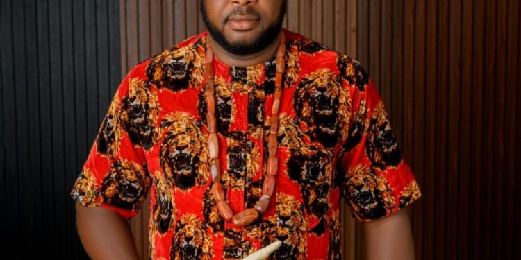 Banditry: Investigate Alleged Zamfara Leaked Memo – Ohanaeze Youths Tell ONSA