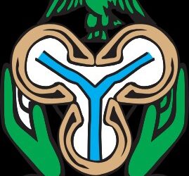 CBN Raises Interest Rate To 27.25 Per cent