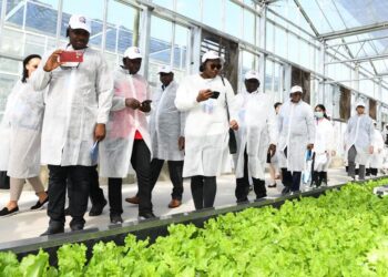 China-Africa Agricultural Cooperation: Boosting Value Addition in Africa