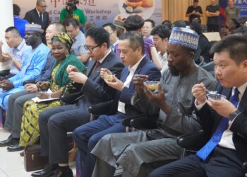 Zhengzhou Showcases Cultural Charm in Abuja, Revealing 100,000 Chinese Residents in Nigeria