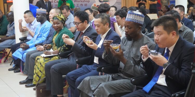 Zhengzhou Showcases Cultural Charm in Abuja, Revealing 100,000 Chinese Residents in Nigeria