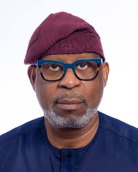 States’ interference in mining Operations can abort Foreign Direct Investment- Alake