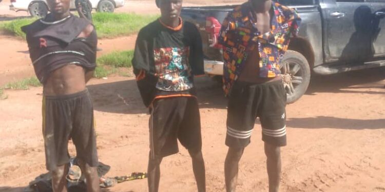 Insecurity: Troops Nab 3 Suspected Bandits, Key Terrorist Logistics Supplier in Taraba