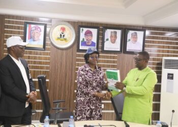 Solid Minerals Ministry PS Urges Review, Sustenance Of MINDIVER Project