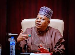 Diversify Nigeria Investment Portfolio, Shettima Tells NSIA