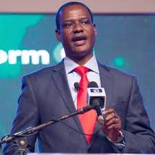 Oyedele Decries Lack of Local Government Budgets