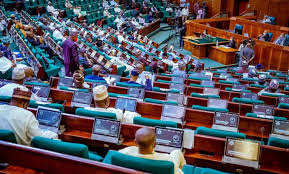 2025 Budget: Reps Harp On Better Funding for Polytechnics